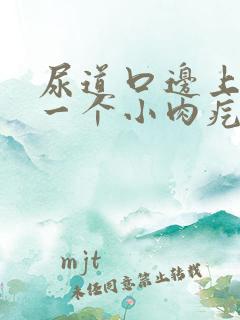 尿道口边上长了一个小肉疙瘩