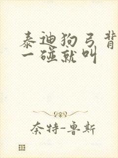 泰迪狗弓背发抖一碰就叫