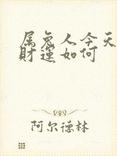 属兔人今天打牌财运如何