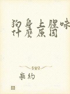 狗身上腥味重是什么原因