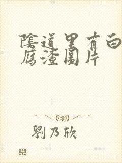 阴道里有白色豆腐渣图片