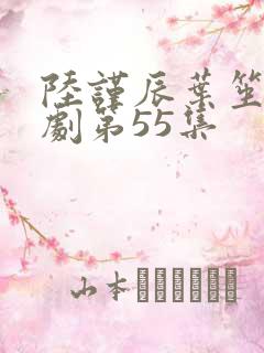 陆谨辰叶笙笙短剧第55集