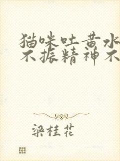 猫咪吐黄水食欲不振精神不好