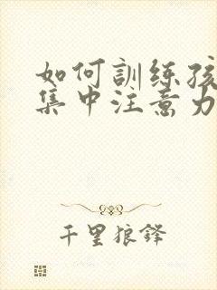 如何训练孩子的集中注意力