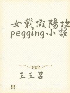 女戴假阳攻男生pegging小说