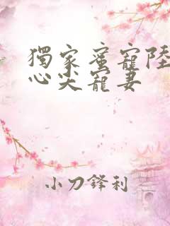 独家蜜宠陆少的心尖宠妻