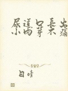 尿道口长出一个小肉芽不痛不痒