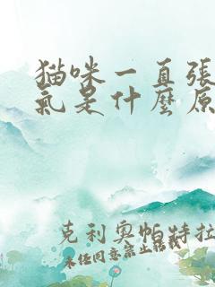 猫咪一直张嘴喘气是什么原因