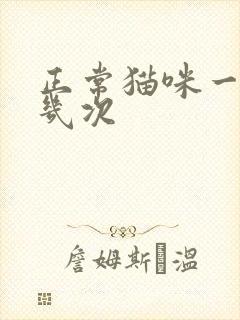 正常猫咪一天尿几次