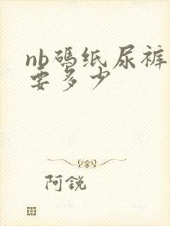 nb码纸尿裤需要多少