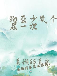 狗至少几个小时尿一次