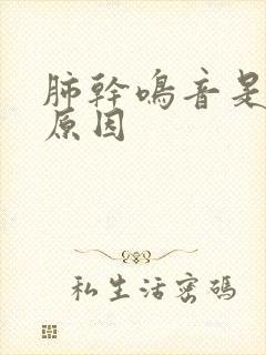 肺干鸣音是什么原因