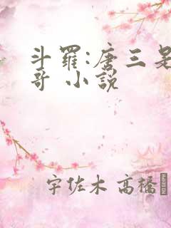斗罗:唐三是我哥 小说