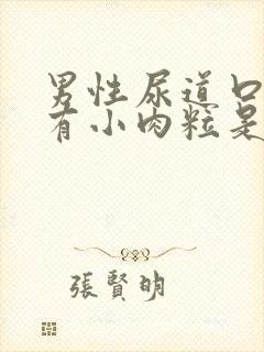 男性尿道口里面有小肉粒是咋回事