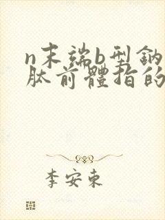 n末端b型钠尿肽前体指的是什么