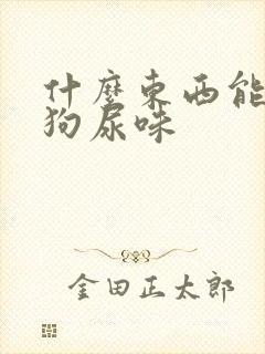 什么东西能消除狗尿味