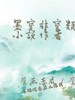 墨宝非宝类似的小说作者