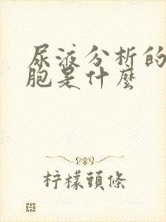 尿液分析的白细胞是什么