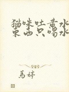 猫咪吐黄水不吃东西只喝水