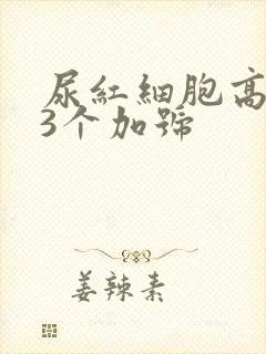 尿红细胞高潜血3个加号