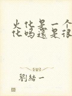 火化是一个人火化吗还是很多人一起火化