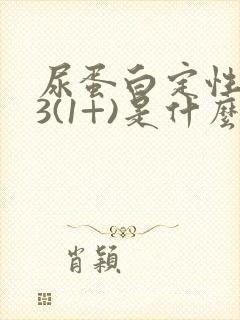 尿蛋白定性0.3(1+)是什么意思