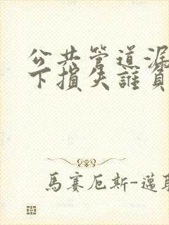 公共管道漏水楼下损失谁负责