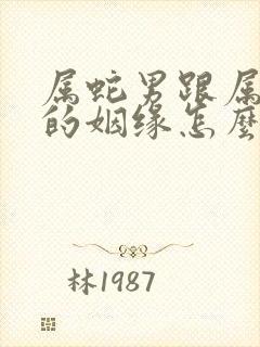 属蛇男跟属猴女的姻缘怎么样