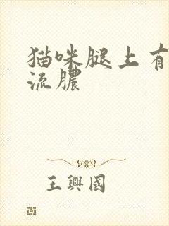 猫咪腿上有个洞流脓