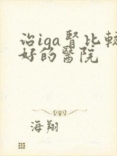 治iga肾比较好的医院