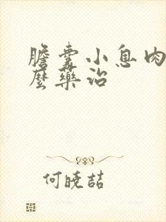 胆囊小息肉吃什么药治