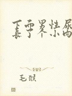 下面男性尿道口长了个小肉粒