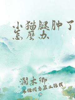 小猫腿肿了流脓怎么办