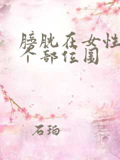 膀胱在女性的哪个部位图