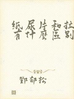 纸尿片和拉拉裤有什么区别