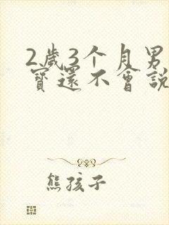 2岁3个月男宝宝还不会说话