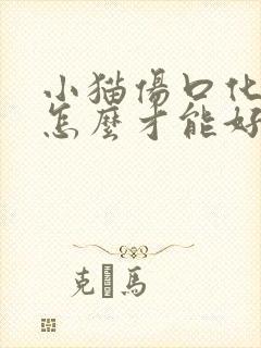 小猫伤口化脓了怎么才能好得快