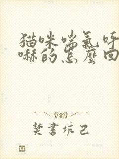 猫咪喘气呼哧呼哧的怎么回事