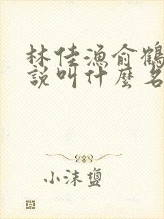 林佳渔俞鹤舟小说叫什么名字