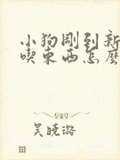 小狗刚到新家不吃东西怎么办