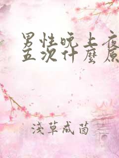 男性晚上夜尿四五次什么原因