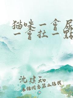 猫咪一会尿一点一会拉一点