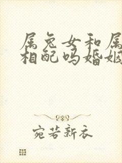 属兔女和属蛇男相配吗婚姻