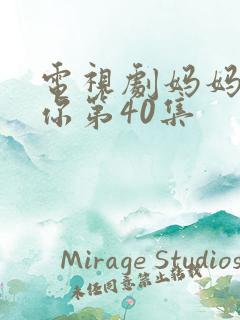 电视剧妈妈在等你第40集