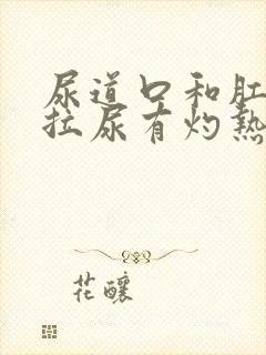 尿道口和肛门痒拉尿有灼热感