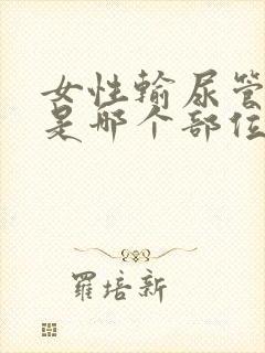 女性输尿管结石是哪个部位疼