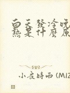 白天发冷晚上发热是什么原因