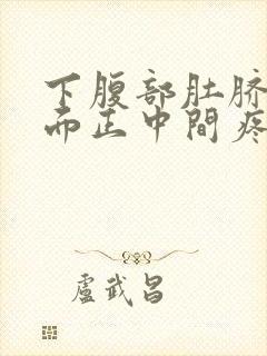 下腹部肚脐眼下面正中间疼