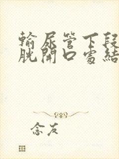 输尿管下段近膀胱开口处结石怎么搞