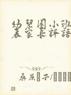 幼儿园小班评价表家长评语